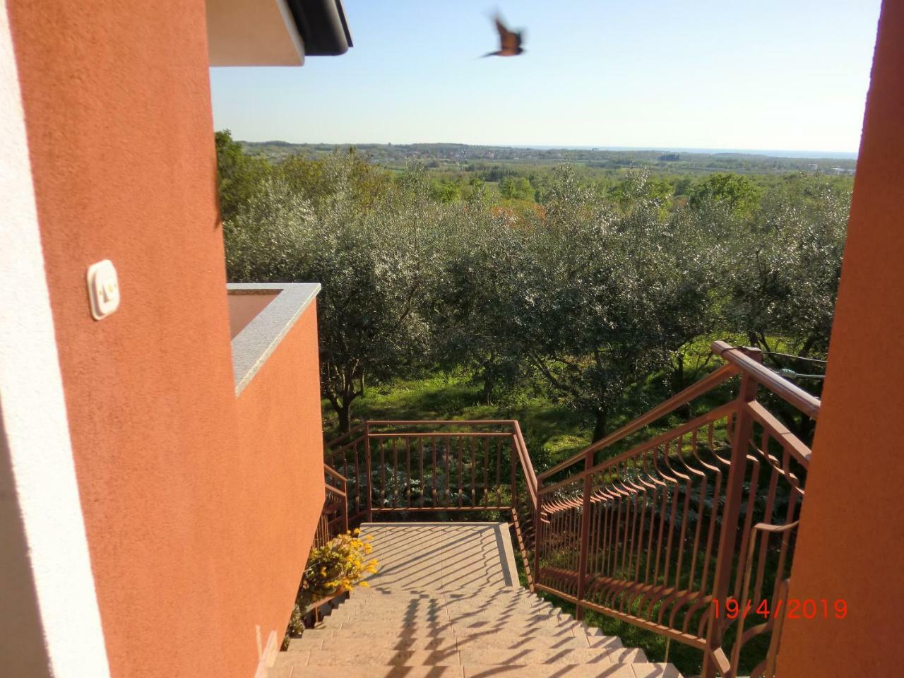 Apartment Zita With 1 Bedroom In Relaxing Surroundings Near Umag Eksteriør bilde